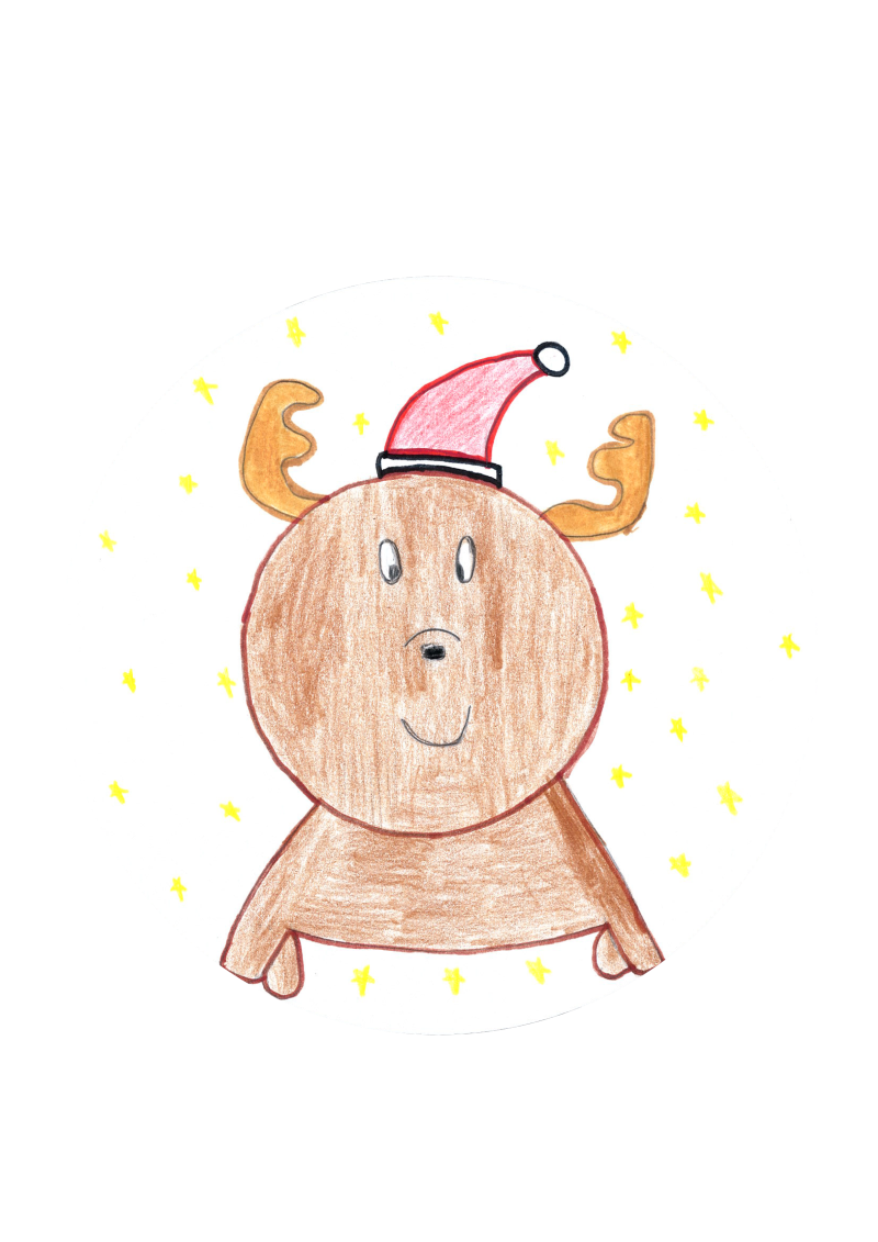 Nicolas, 11 - Limana (BL)